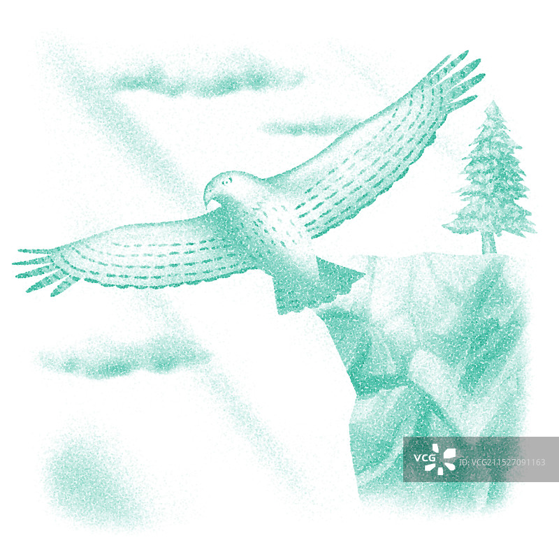 苍鹰滑下滑梯图片素材