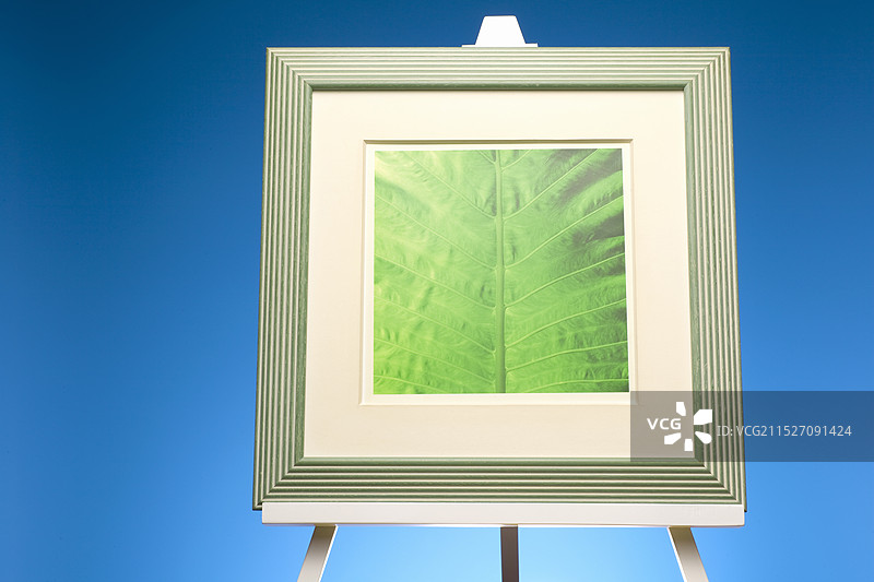 照片展台图片素材