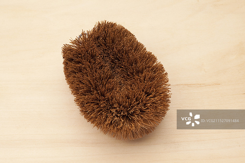 乌龟的钳子图片素材