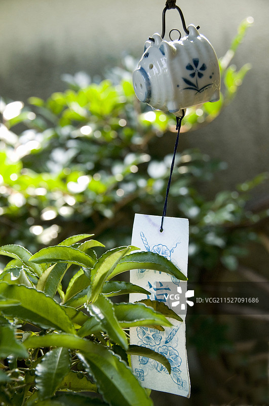 鸟巢箱图片素材