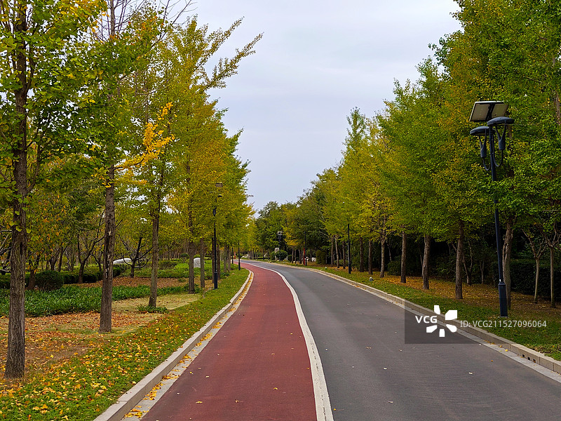 秋天霜降时节，莒县沭河公园的健步道图片素材