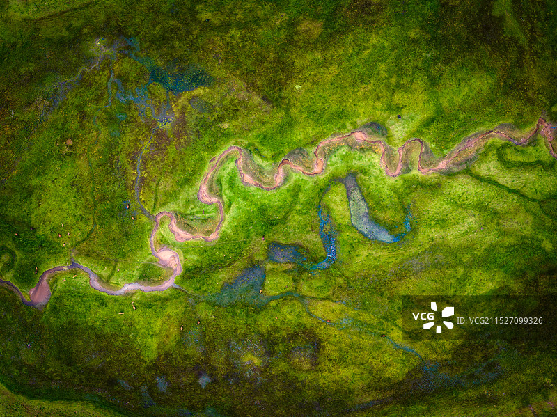 普达措中的一条溪流图片素材