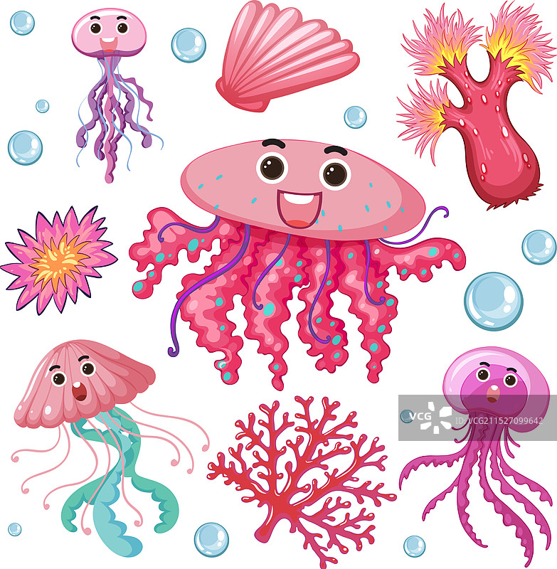 色彩鲜艳的快乐水母和珊瑚图片素材