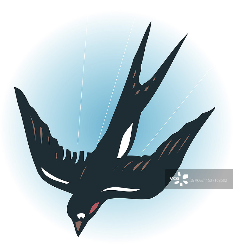 山茶花图片素材