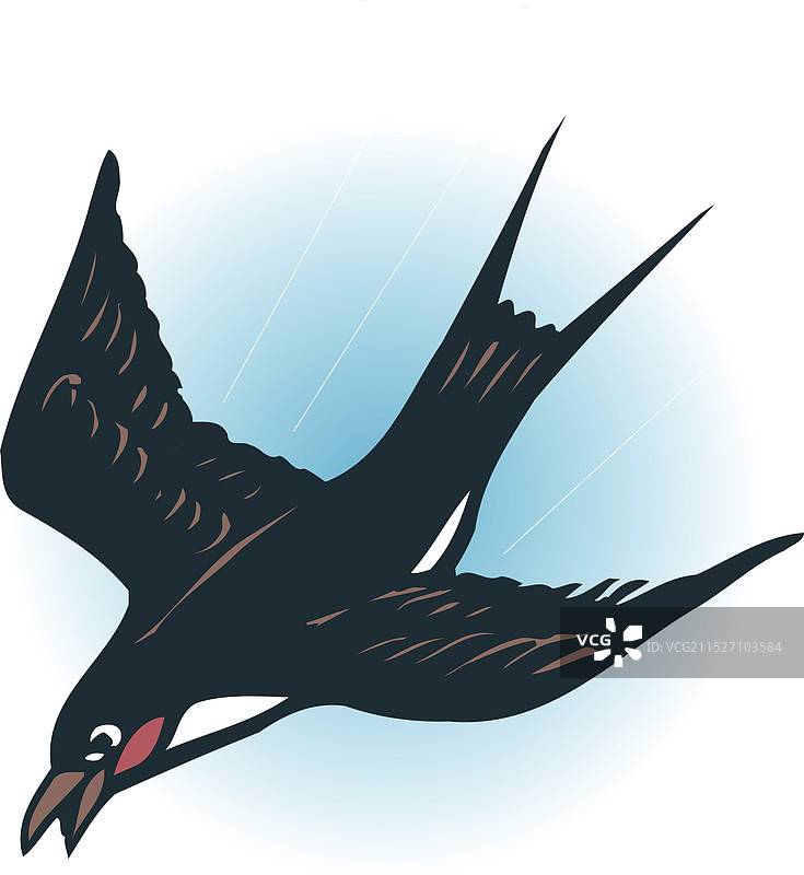 山茶花图片素材