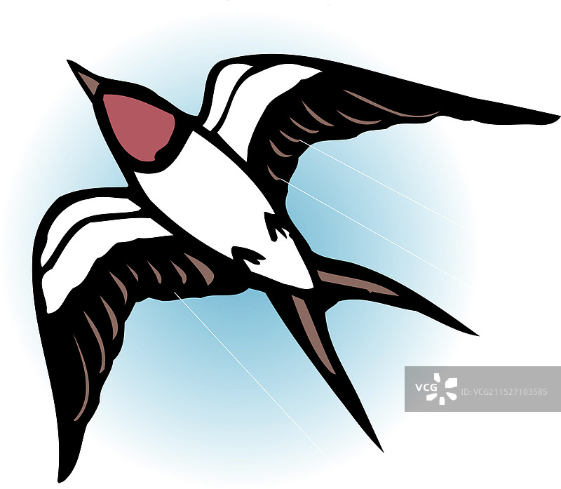 山茶花图片素材