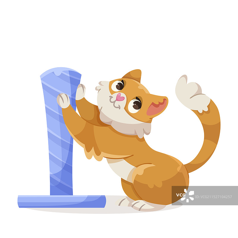 可爱的猫咪在抓柱子图片素材
