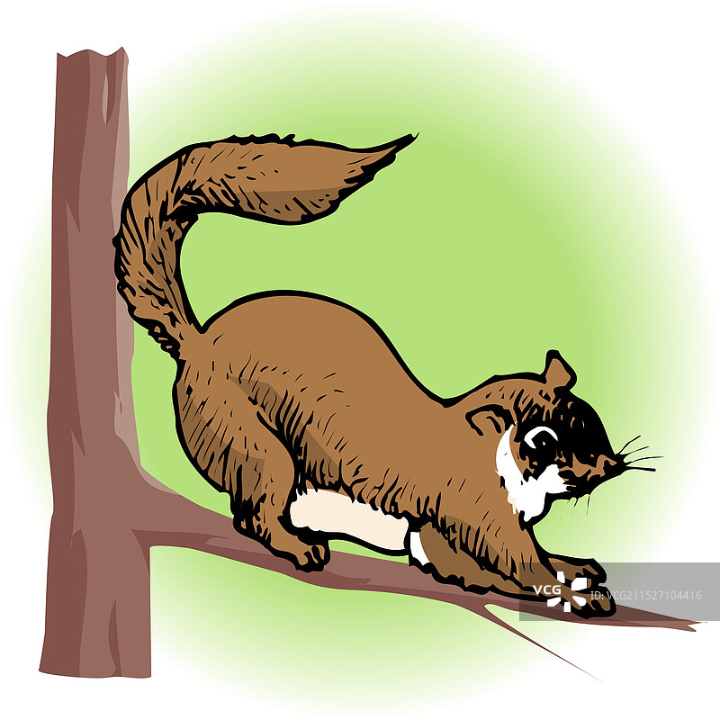 穆萨维图片素材