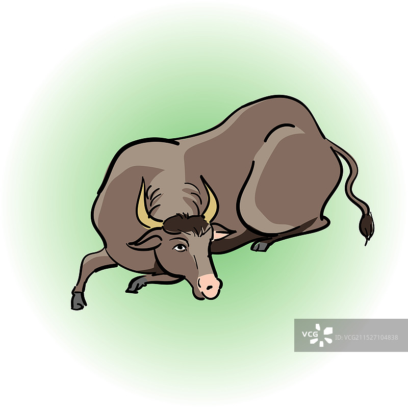 牛科动物图片素材