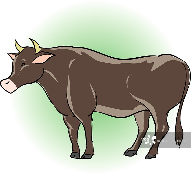 牛科动物图片素材