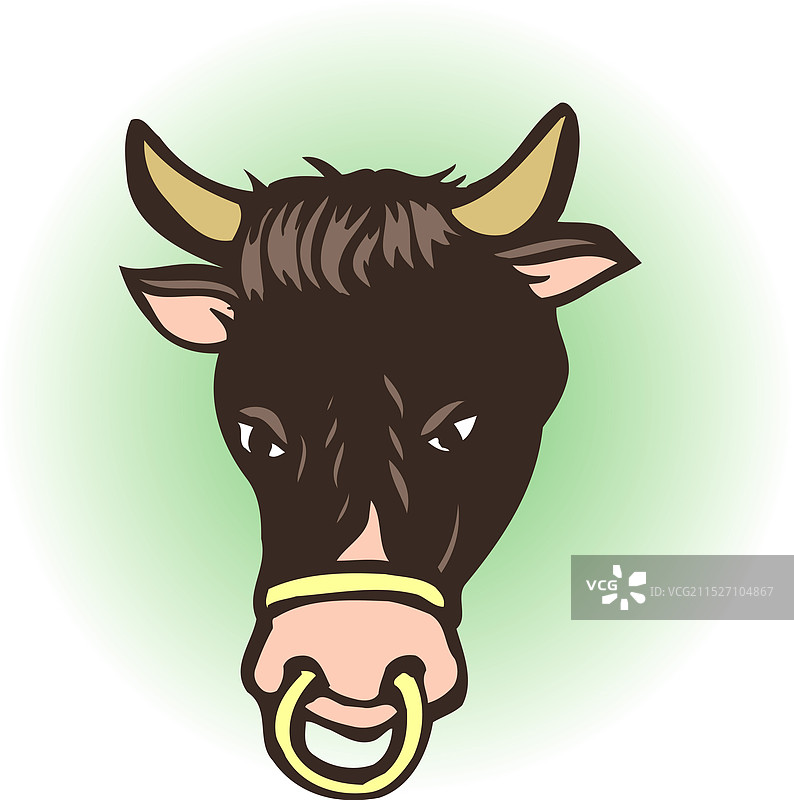 牛科动物图片素材