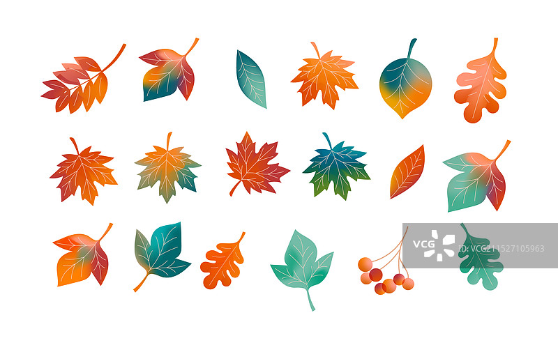 秋季落叶背景元素图片素材