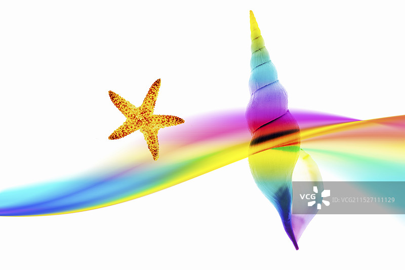 彩虹色水面上的贝壳图片素材