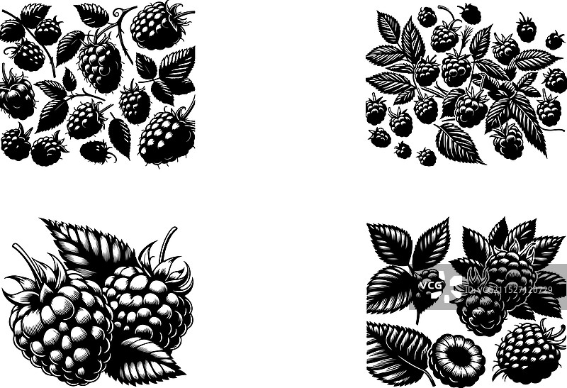 黑白复古树枝雕刻艺术图片素材