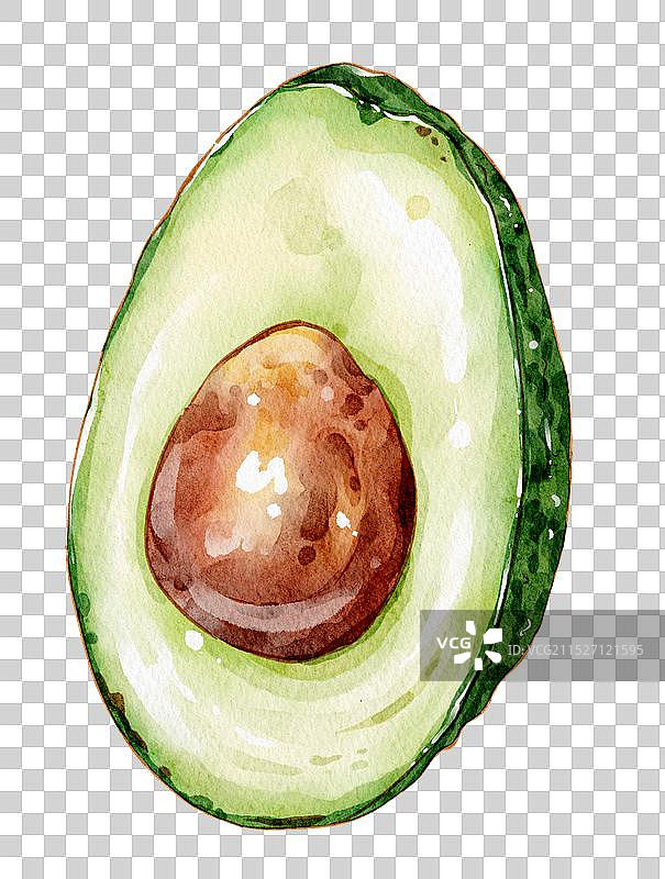 水彩牛油果图片素材