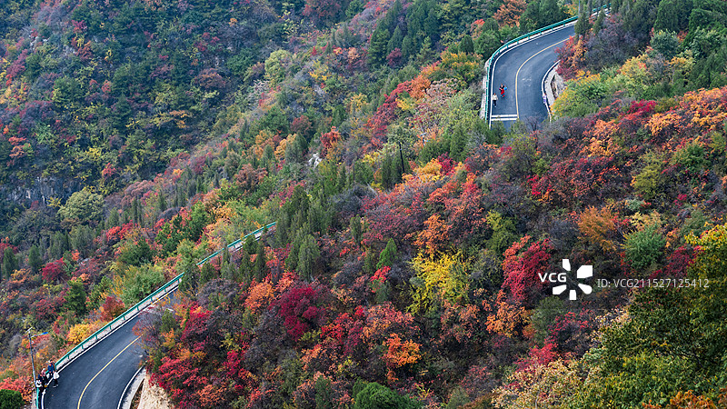 林州市柏尖山秋景太行云海图片素材