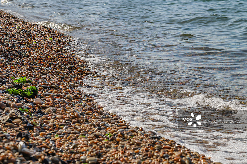 大连 | 世界和平公园图片素材