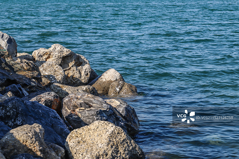 大连 | 世界和平公园图片素材