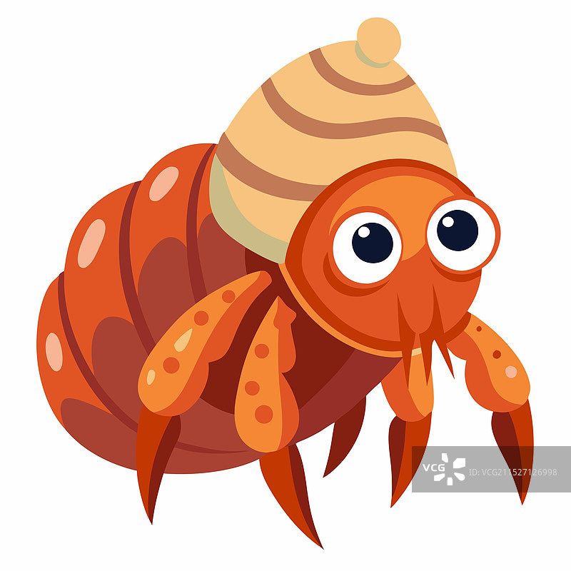 帅气的寄居蟹剪贴画图片素材