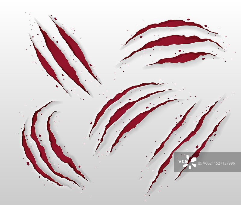 白色背景上的血腥爪痕图片素材