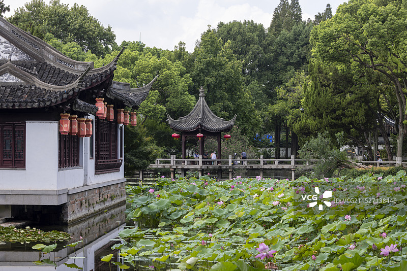 古漪园的荷塘图片素材