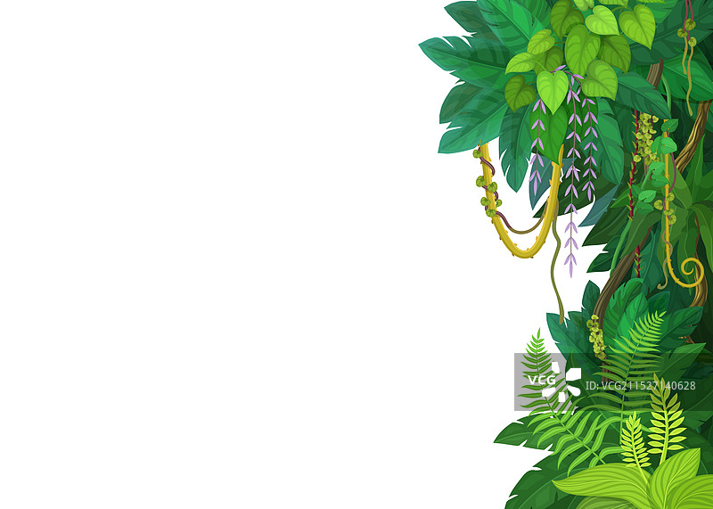 热带丛林藤蔓背景图片素材
