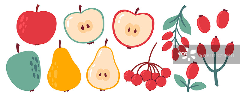 秋季舒适设计元素浆果合集图片素材