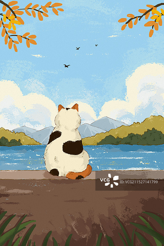 看海的猫图片素材