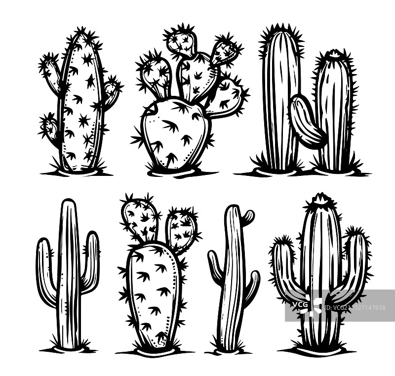 仙人掌卡通贴纸套装图片素材