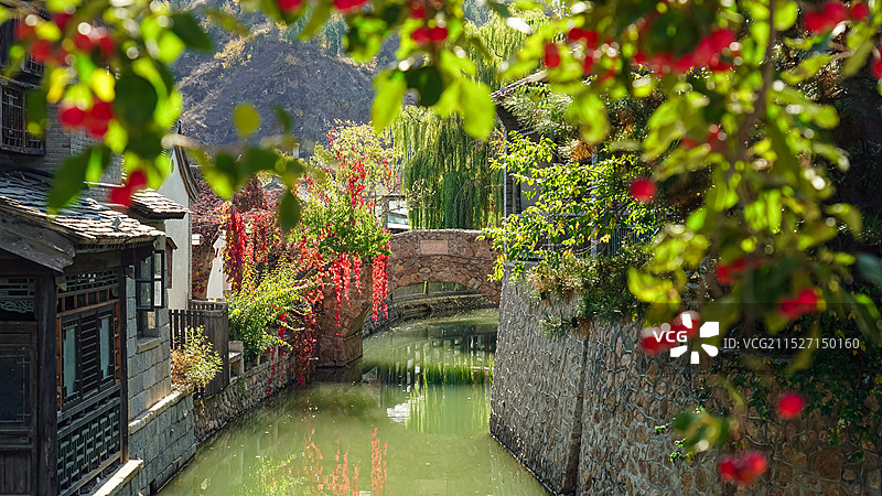 古北水镇秋色 小桥流水红叶和红色果实图片素材