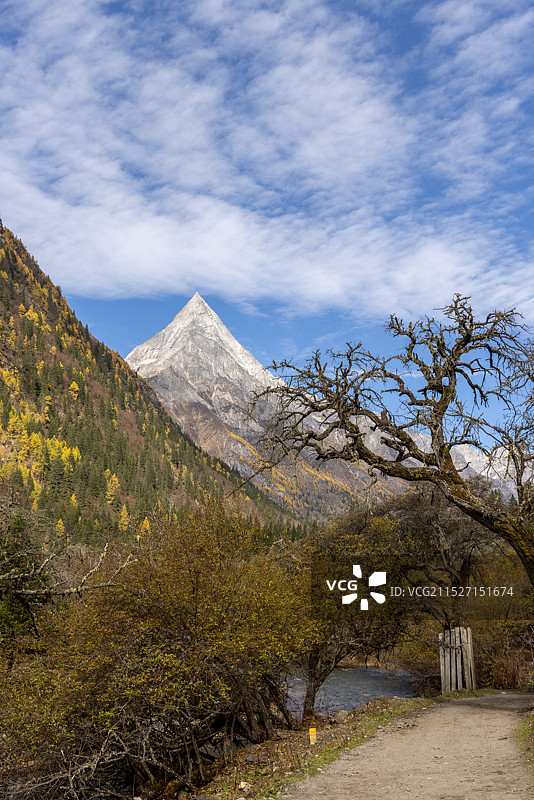 四姑娘山长坪沟景区眺望婆缪峰图片素材