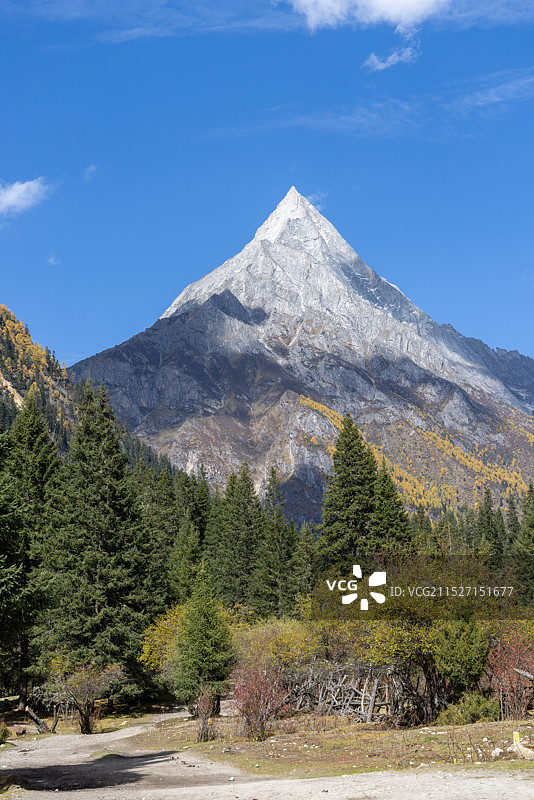 四姑娘山长坪沟景区眺望婆缪峰图片素材