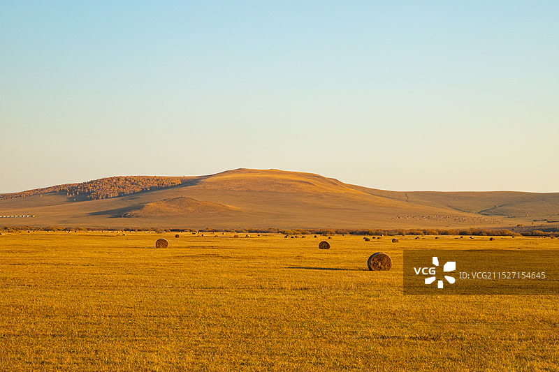 中国内蒙古呼伦贝尔草原秋季风光图片素材