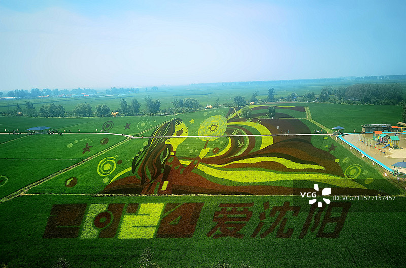 稻梦空间风景区景观系列之稻田画风光（辽宁省沈阳市）图片素材