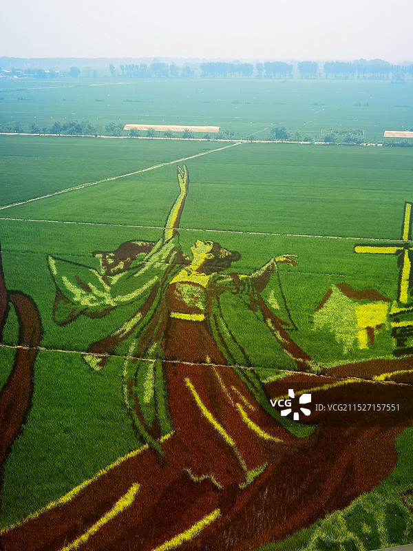 稻梦空间风景区景观系列之稻田画风光（辽宁省沈阳市）图片素材