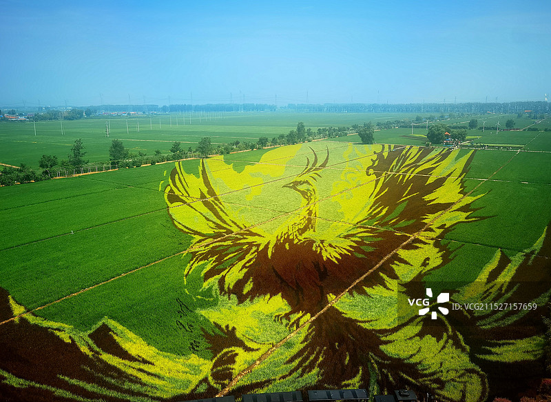 稻梦空间风景区景观系列之稻田画风光（辽宁省沈阳市）图片素材