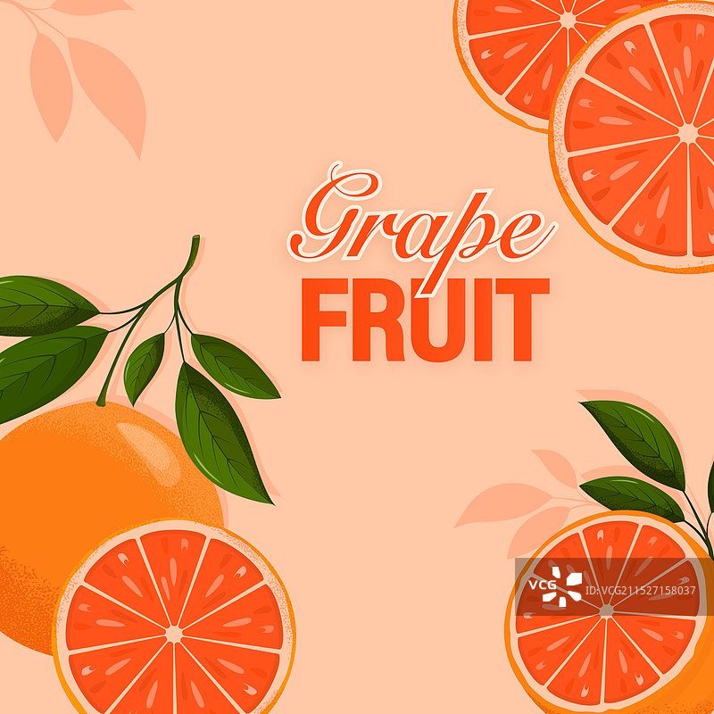 粉色背景上的新鲜西柚切片图片素材