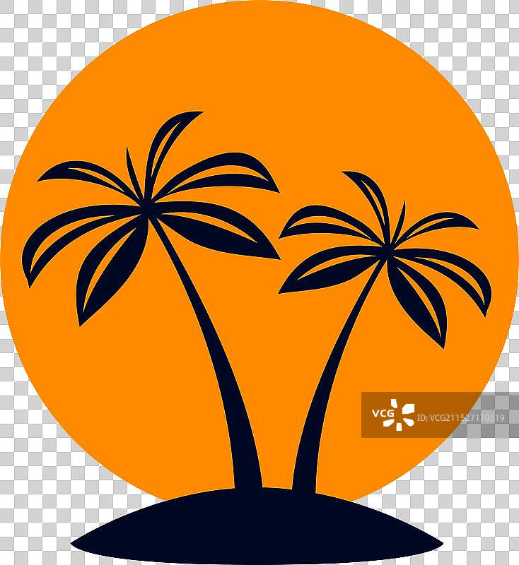 热带棕榈树图片素材