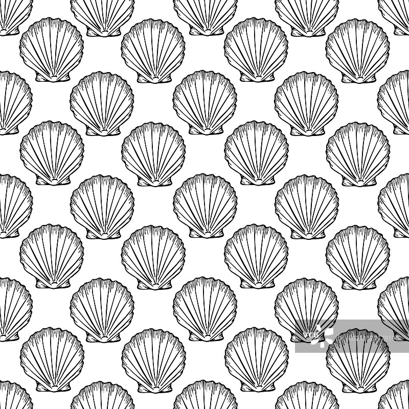 带贝壳线的水下无缝图案图片素材