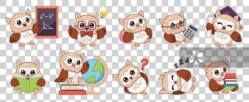 可爱的聪明猫头鹰卡通形象图片素材