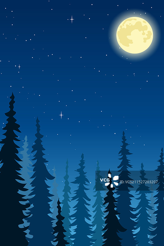 夜间松树林图片素材