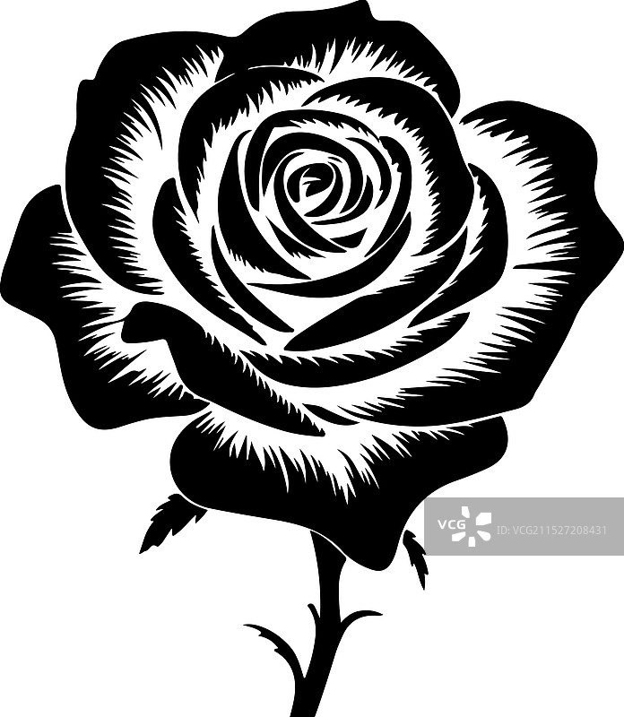 玫瑰剪影艺术图片素材