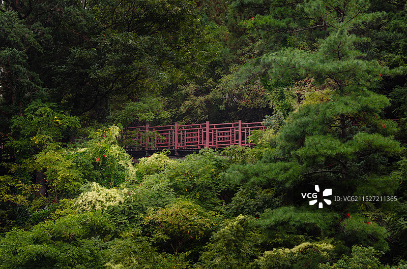 昆明西山森林公园一段人行栈道图片素材