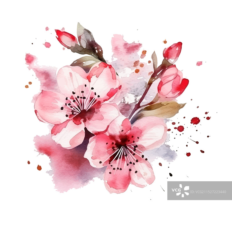 精致美丽的樱花图案图片素材