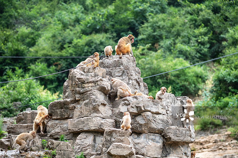 晋城蟒河景区图片素材