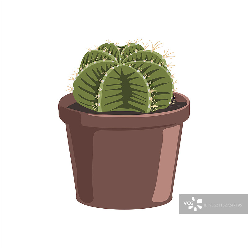 手绘盆栽植物图片素材