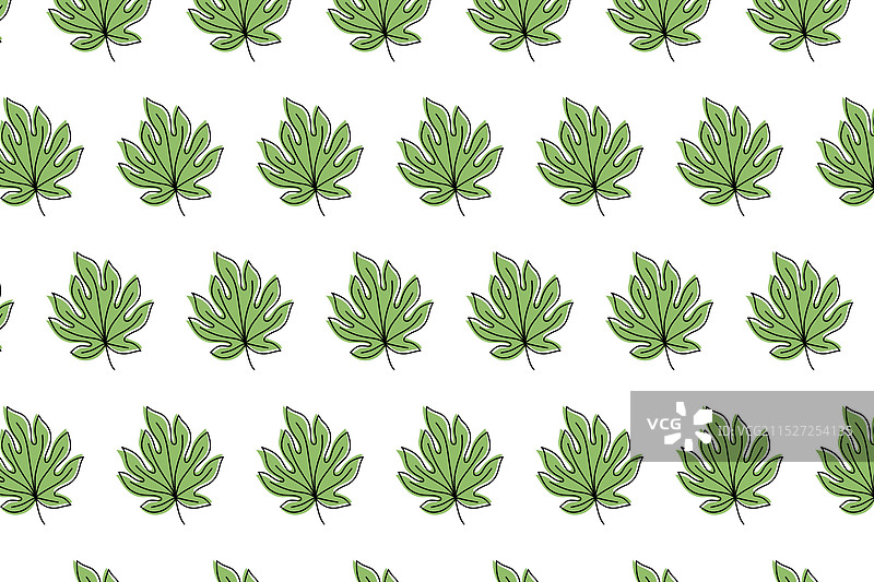 绿色阿拉利亚树叶图案背景图片素材