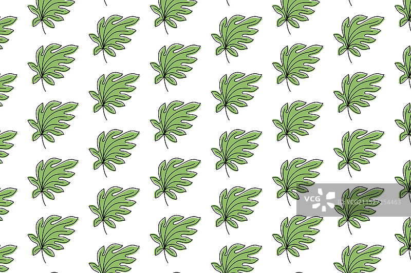 八角金盘绿叶无缝图案图片素材