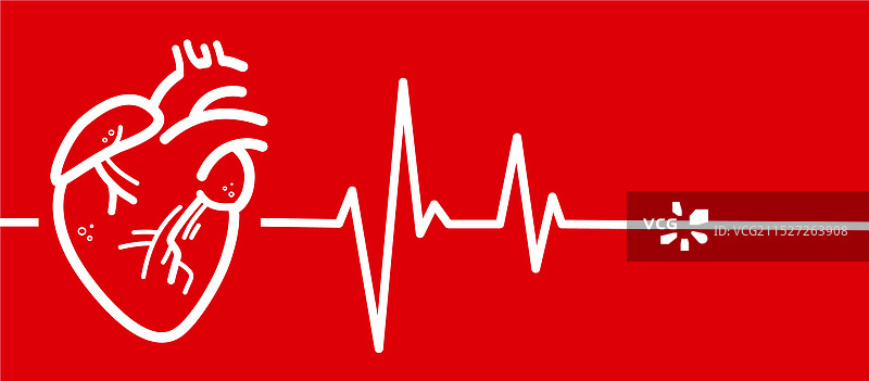 心肌与心电图背景图片素材