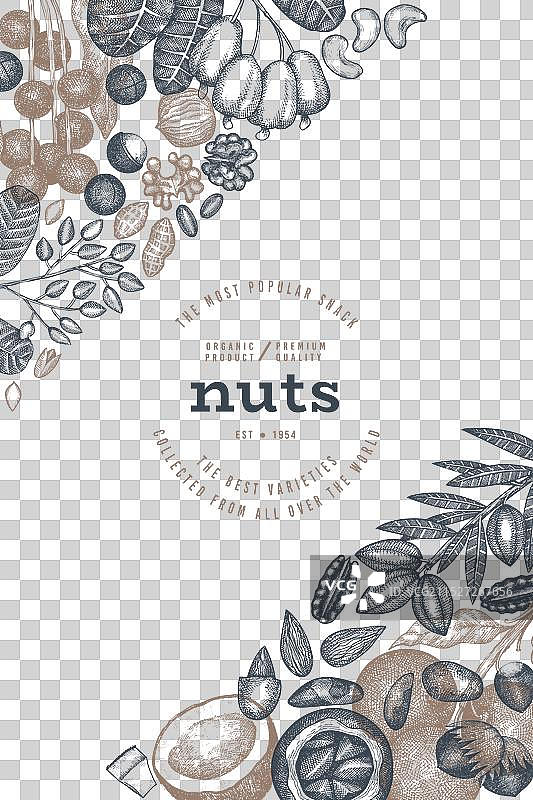 手绘坚果树枝和果仁模板图片素材